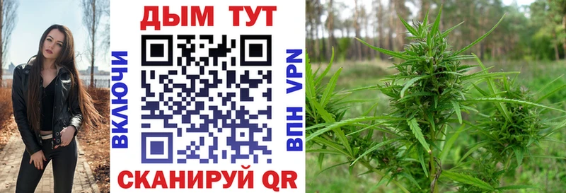 Канабис индика Новосибирск